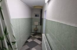 Casă individuala, 5 camere, garaj și grădină, zona Cugir