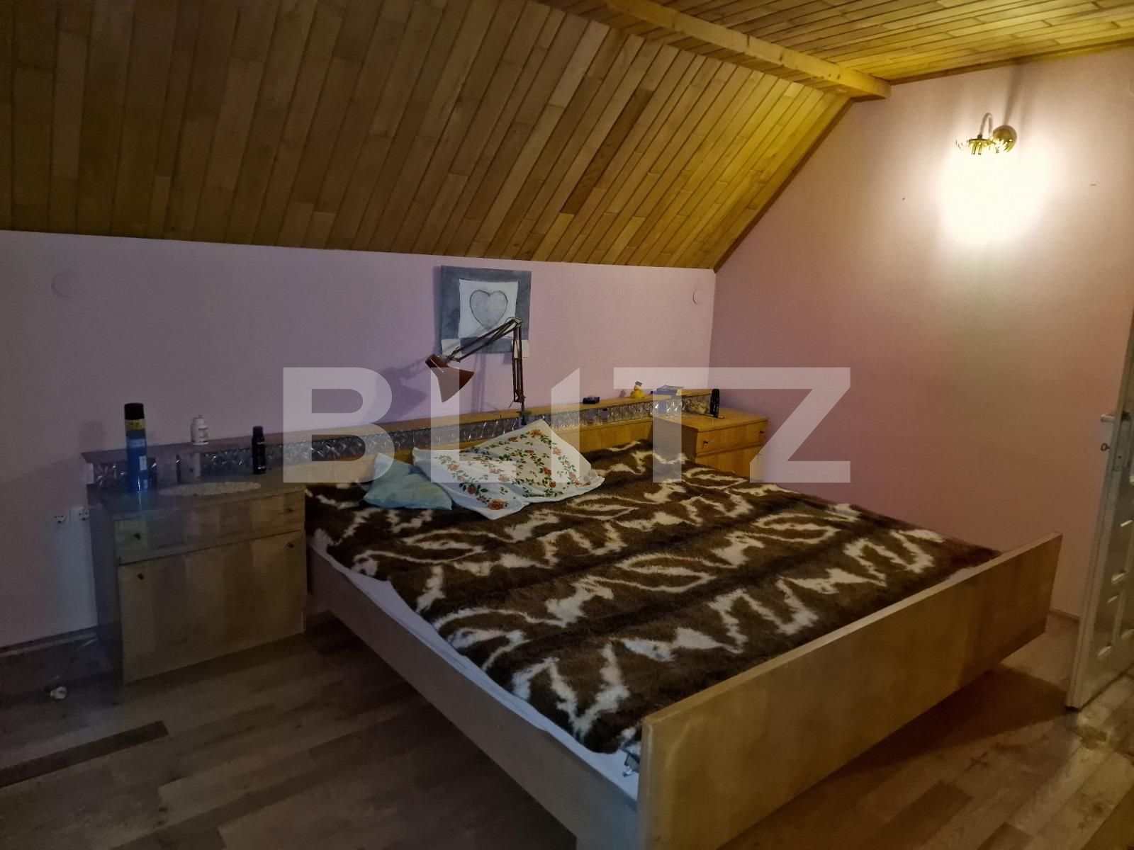 Casa de vânzare 5 camere Cugir - 130651CV | BLITZ Alba Iulia | Poza10