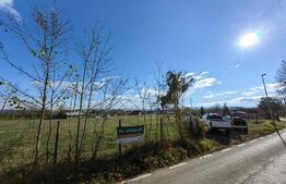 Teren intravilan, 7767 mp, zona Ultracentral