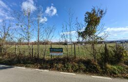 Teren intravilan, 7767 mp, zona Ultracentral