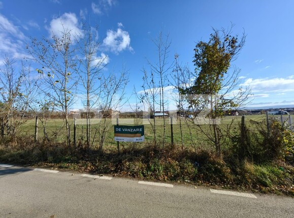 Teren de vânzare Cetate - 130676TV | BLITZ Alba Iulia | Poza4