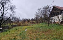 Casă individuală, 69 mp, 1518 mp teren, zonă Hăpria