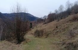 Teren 14 ha compact langa Lacul Tau Bistra