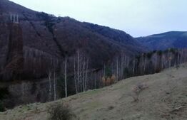 Teren 14 ha compact langa Lacul Tau Bistra