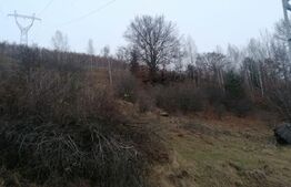 Teren 14 ha compact langa Lacul Tau Bistra