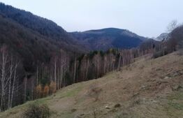 Teren 14 ha compact langa Lacul Tau Bistra