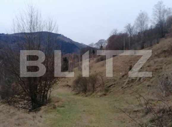 Teren de vânzare Exterior Sud - 131002TV | BLITZ Alba Iulia | Poza5