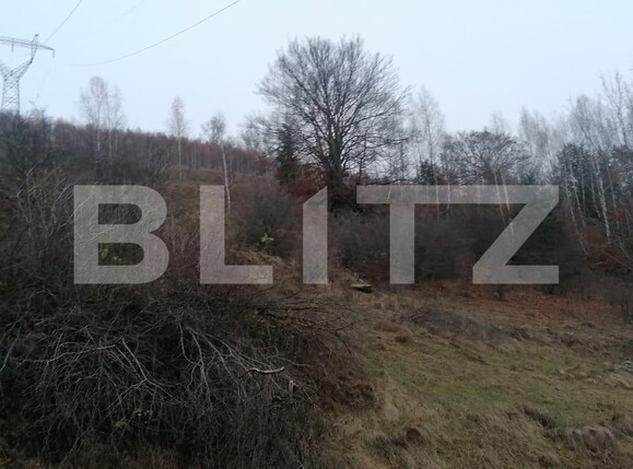 Teren de vânzare Exterior Sud - 131002TV | BLITZ Alba Iulia | Poza2