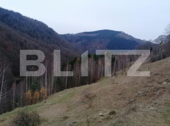 Teren de vânzare Exterior Sud - 131002TV | BLITZ Alba Iulia | Poza3