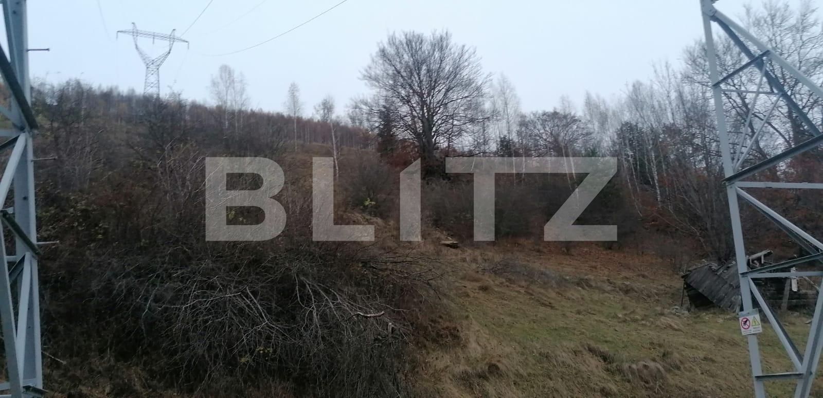 Teren de vânzare Exterior Sud - 131002TV | BLITZ Alba Iulia | Poza2