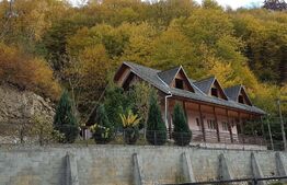 Casă cu 240mp utili, teren, 955 mp zona Mărtinie - Transalpina