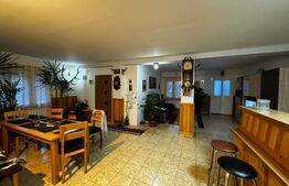 Casă cu 240mp utili, teren, 955 mp zona Mărtinie - Transalpina