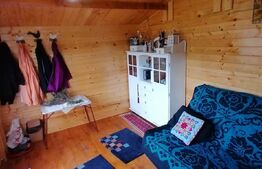 Teren intravilan, 1400 mp, Vintu de Jos