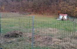 Teren intravilan, 1400 mp, Vintu de Jos