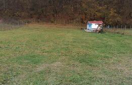 Teren intravilan, 1400 mp, Vintu de Jos