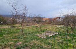 Teren intravilan, 896 mp, zona Micesti