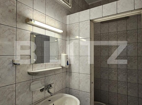 Spațiu comercial de închiriat Ampoi 3 - 131297SIC | BLITZ Alba Iulia | Poza7
