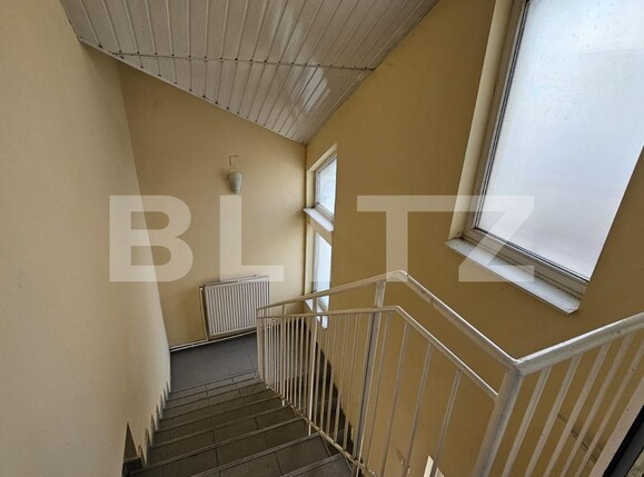 Spațiu comercial de închiriat Ampoi 3 - 131297SIC | BLITZ Alba Iulia | Poza6