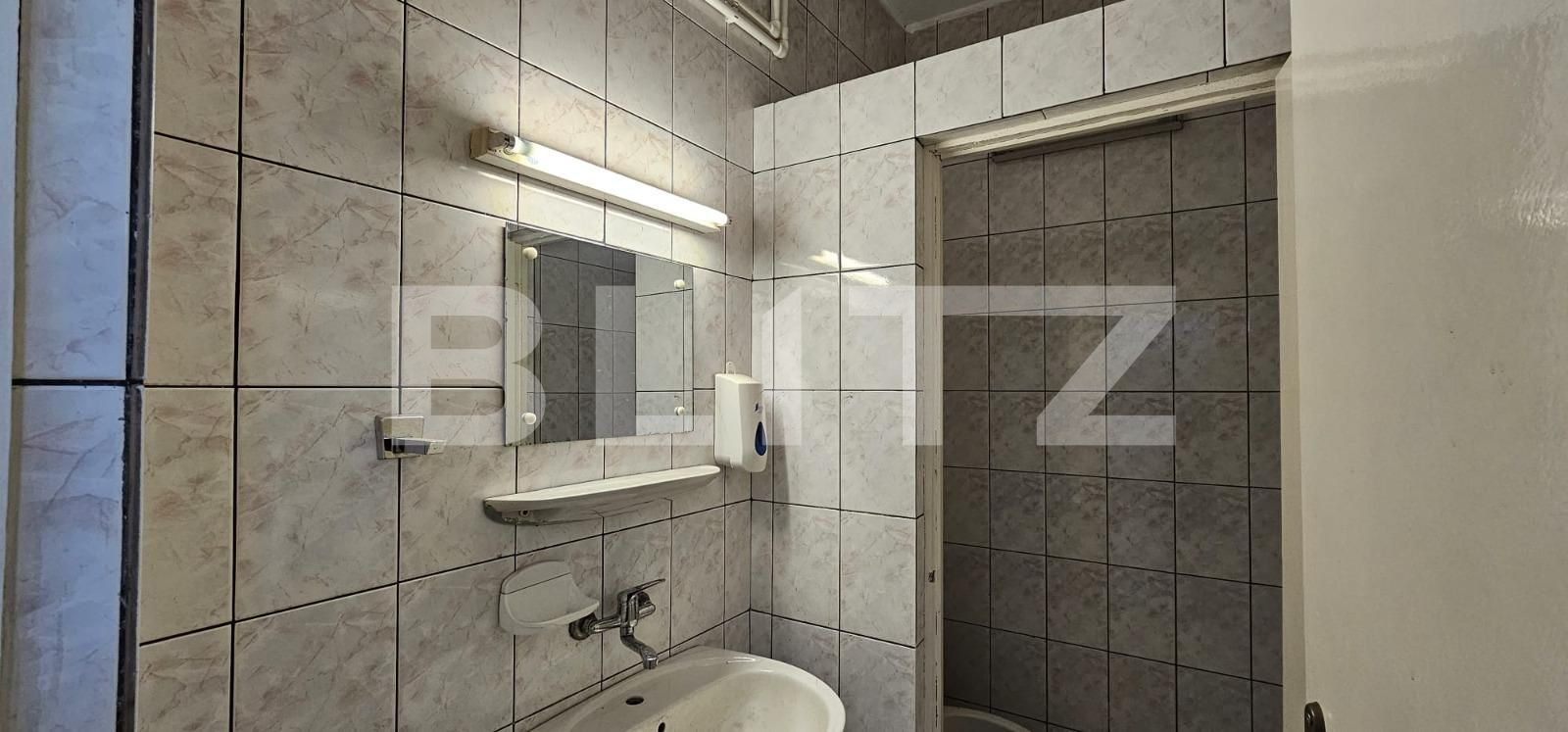 Spațiu comercial de închiriat Ampoi 3 - 131297SIC | BLITZ Alba Iulia | Poza7