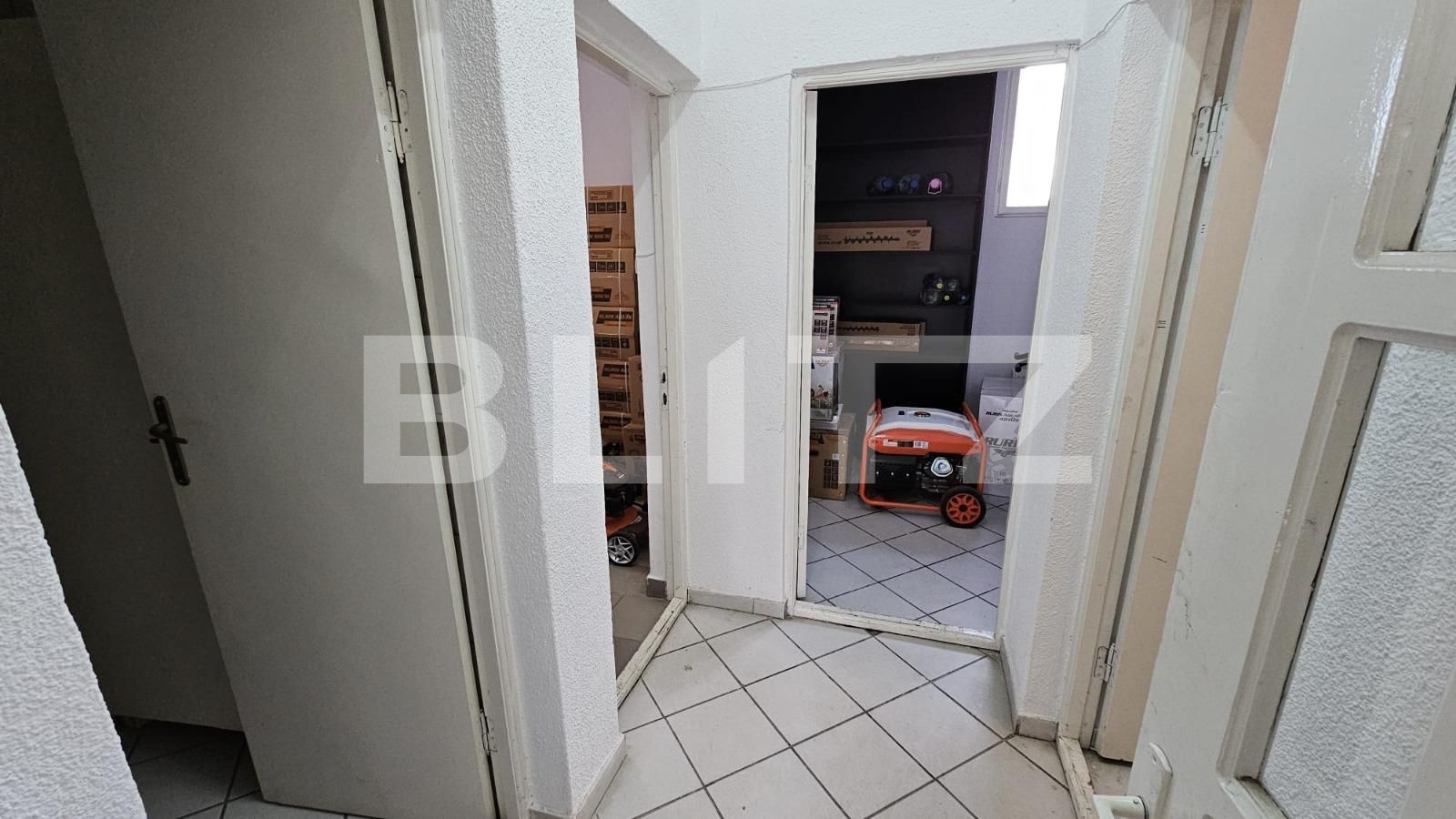 Spațiu comercial de închiriat Ampoi 3 - 131297SIC | BLITZ Alba Iulia | Poza4