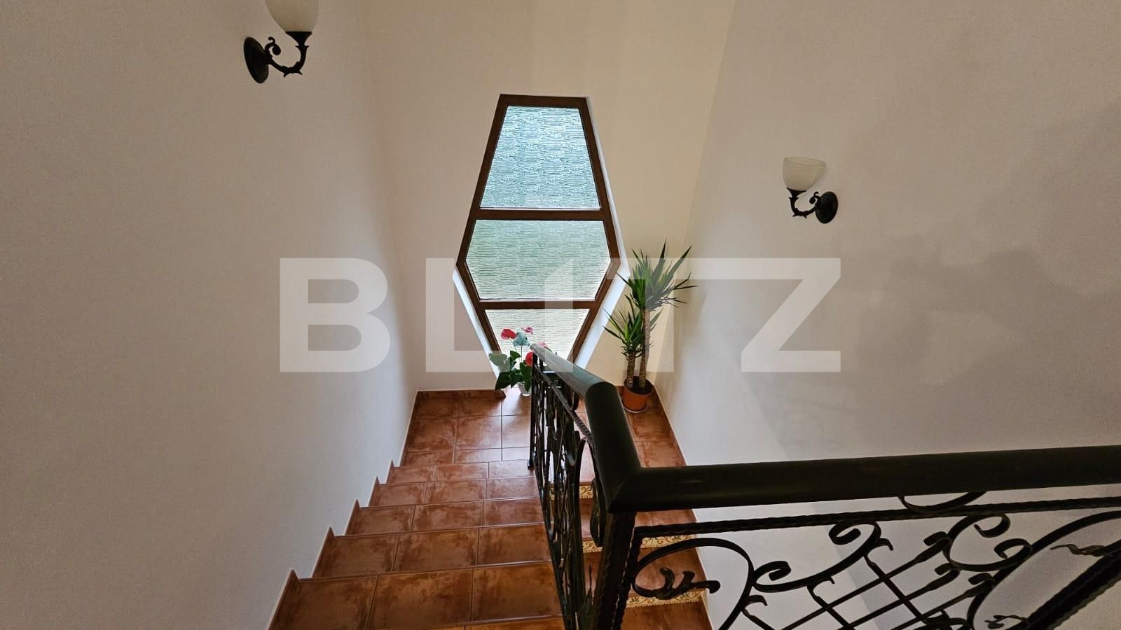 Casa de vânzare 5 camere Cetate - 131321CV | BLITZ Alba Iulia | Poza12