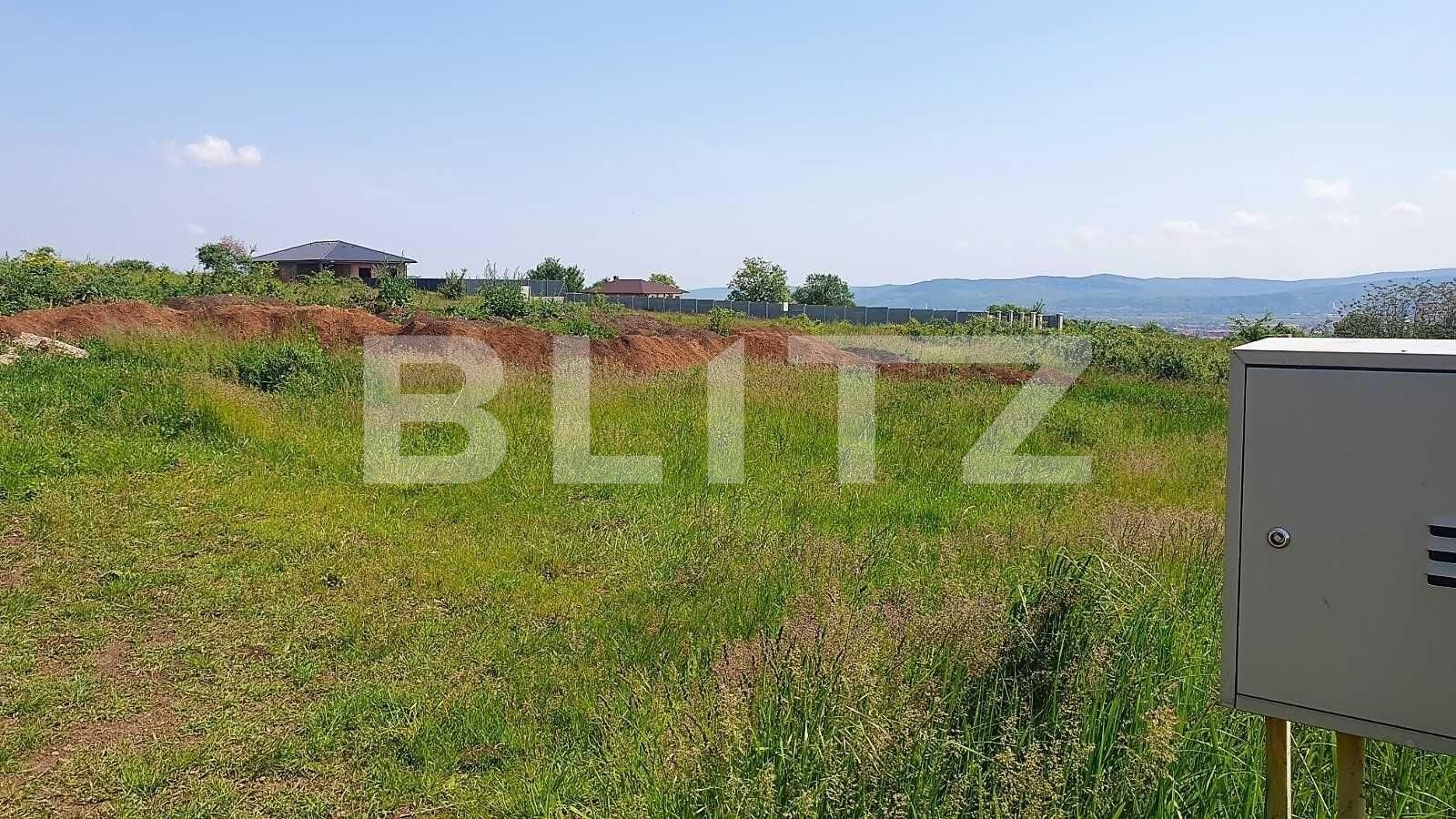 Teren de vânzare Cetate - 131324TV | BLITZ Alba Iulia | Poza2