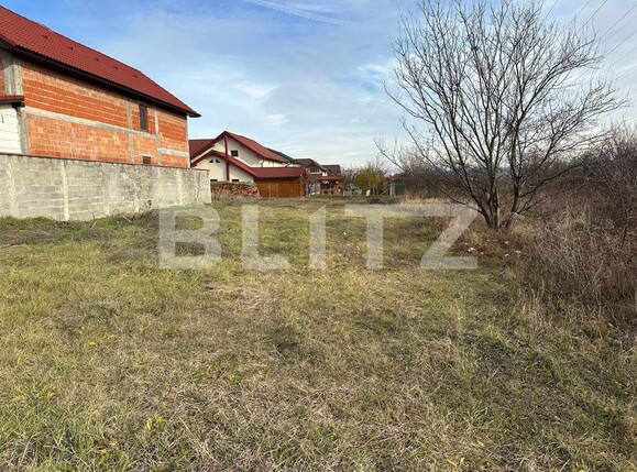 Teren de vânzare Cetate - 131384TV | BLITZ Alba Iulia | Poza2