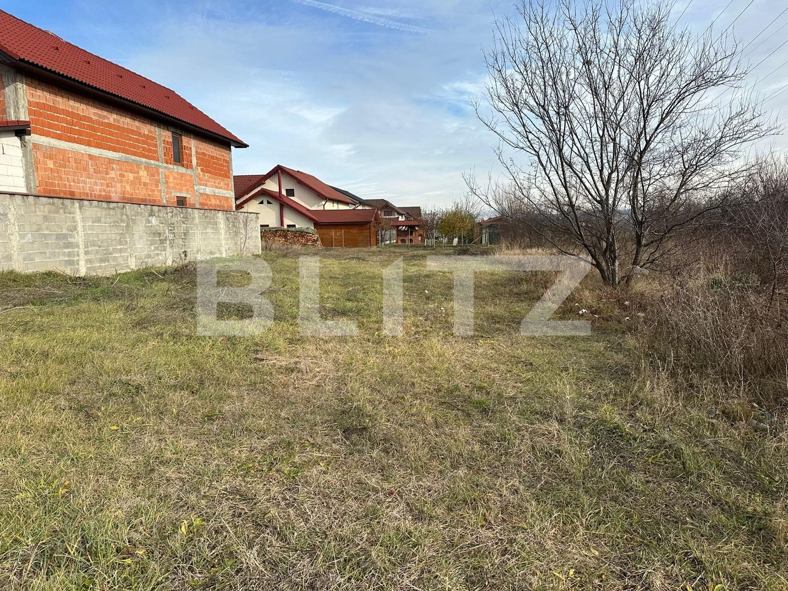 Teren de vânzare Cetate - 131384TV | BLITZ Alba Iulia | Poza2