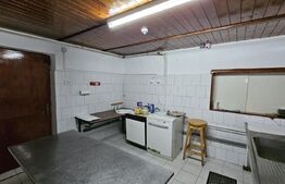 Investitie! Pensiune 13 camere, 13 bai, 5021 mp teren, locuri parcare, acces wifi, Aiud