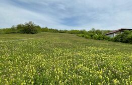 Teren intravilan 7774 mp, zona Teiuș - Stremț