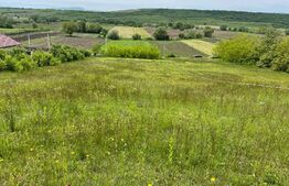 Teren intravilan 7774 mp, zona Teiuș - Stremț