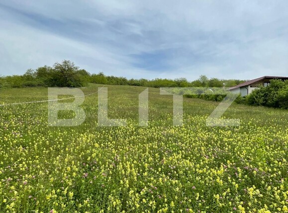 Teren de vânzare Teius - 131476TV | BLITZ Alba Iulia | Poza2