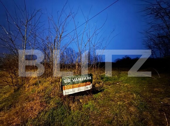 Teren de vânzare Teius - 131476TV | BLITZ Alba Iulia | Poza4