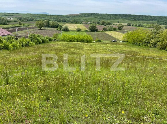 Teren de vânzare Teius - 131476TV | BLITZ Alba Iulia | Poza1