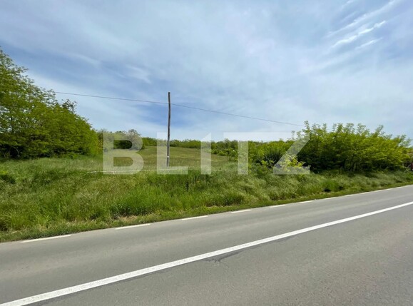 Teren de vânzare Teius - 131476TV | BLITZ Alba Iulia | Poza6