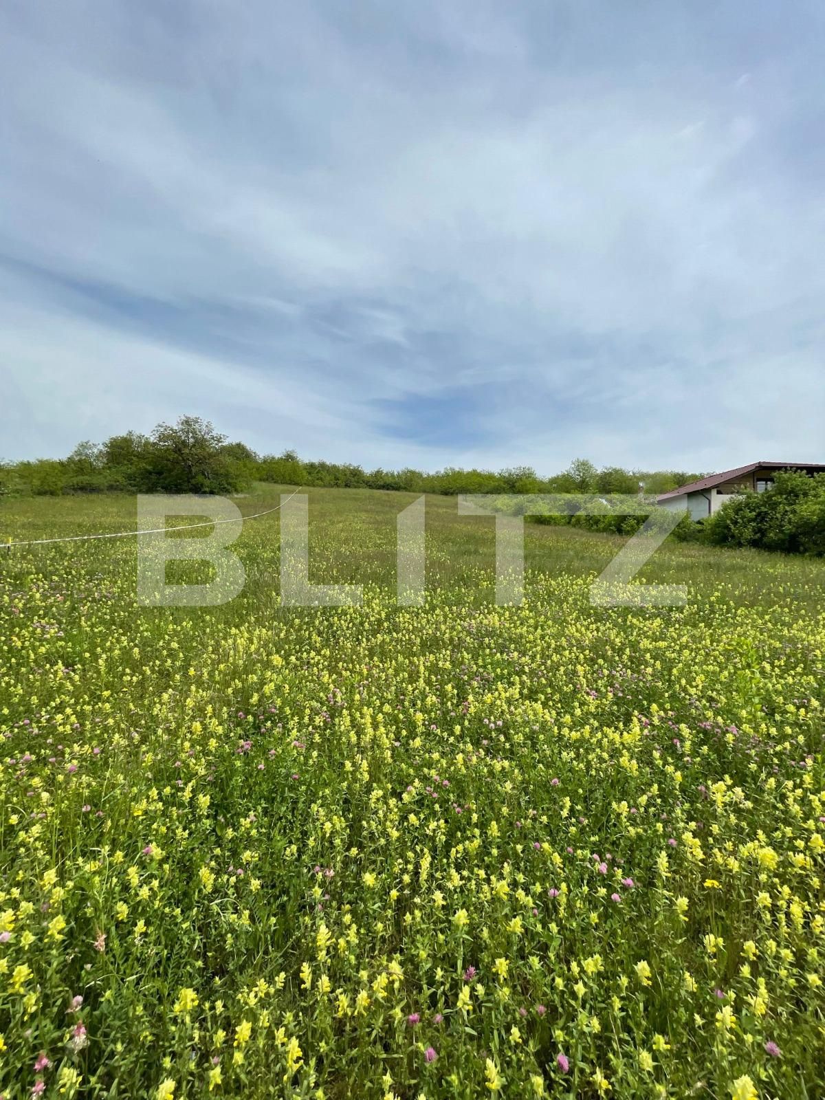 Teren de vânzare Teius - 131476TV | BLITZ Alba Iulia | Poza2