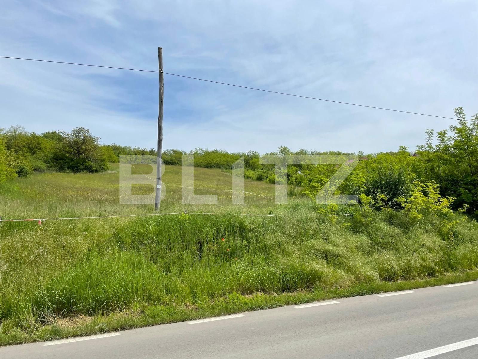 Teren de vânzare Teius - 131476TV | BLITZ Alba Iulia | Poza3