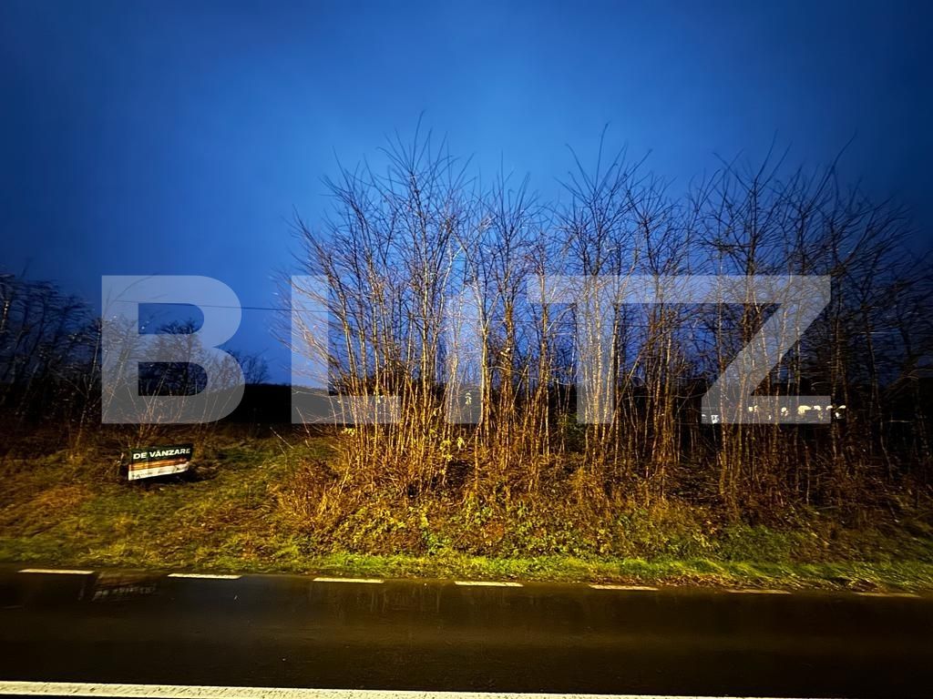 Teren de vânzare Teius - 131476TV | BLITZ Alba Iulia | Poza5
