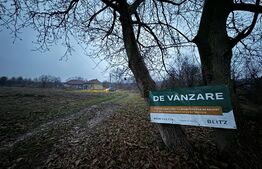 Casă individuală, 3camere, teren 10.000 mp , zona Teiuș - Stremț