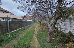 Casa cu 4 camere, 2 anexe, 831 mp teren, Bărăbanț