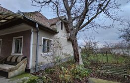 Casa cu 4 camere, 2 anexe, 831 mp teren, Bărăbanț