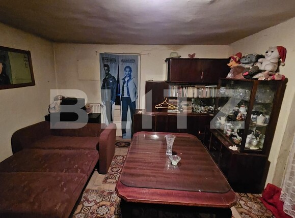 Casa de vânzare 4 camere Bărăbanț - 131578CV | BLITZ Alba Iulia | Poza12