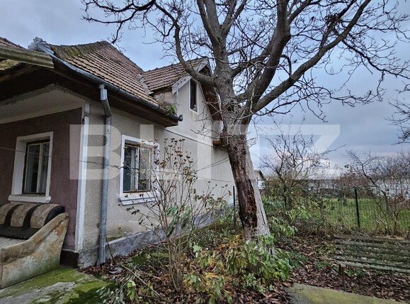 Casa de vânzare 4 camere Bărăbanț - 131578CV | BLITZ Alba Iulia | Poza2