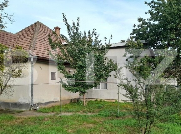 Casa de vânzare 4 camere Bărăbanț - 131578CV | BLITZ Alba Iulia | Poza4