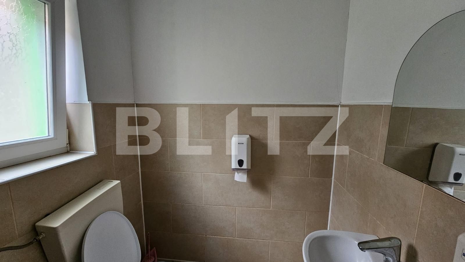 Spațiu comercial de închiriat Aiud - 131654SIC | BLITZ Alba Iulia | Poza9