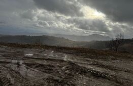 Teren pentru cabana 780 mp la asfalt pe Trans Alpina de Apuseni