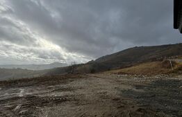 Teren pentru cabana 780 mp la asfalt pe Trans Alpina de Apuseni