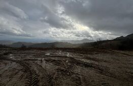 Teren pentru cabana 780 mp la asfalt pe Trans Alpina de Apuseni