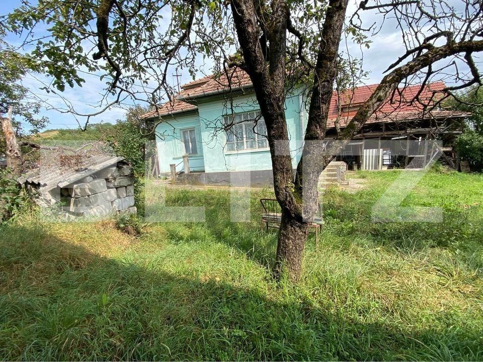 Casa de vânzare 3 camere Aiud - 132259CV | BLITZ Alba Iulia | Poza2