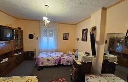 Casa individuala 4 camere, 105 mp, 2593 mp teren, comuna Vintu de Jos